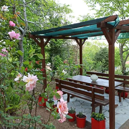Margarita's House * 桑加拉达