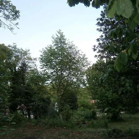 度假居 Margarita's House